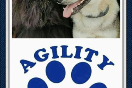 agility-gos-mutxamel-01-350x450